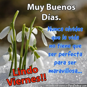 Mensaje Inspirador De Buenos Días Para Un Lindo Viernes