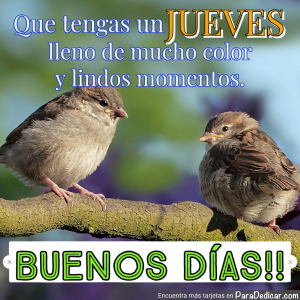 Tarjeta de Buenos Días: Que Tengas Un Colorido Jueves