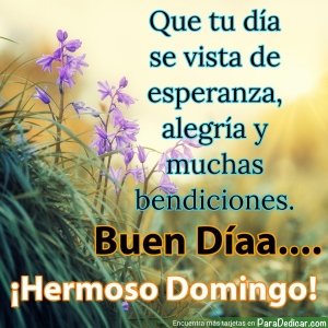 Frases de Esperanza y Alegría para un Bello Domingo